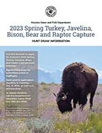 2023 Spring Turkey, Javelina, Bison and Bear Hunt Draw Information